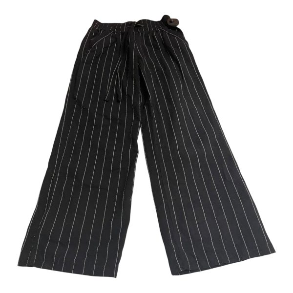 Pants Other By Sienna Sky In Black, Size: M For Cheap