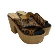 Animal Print Sandals Heels Block Cmb, Size 7.5 Supply